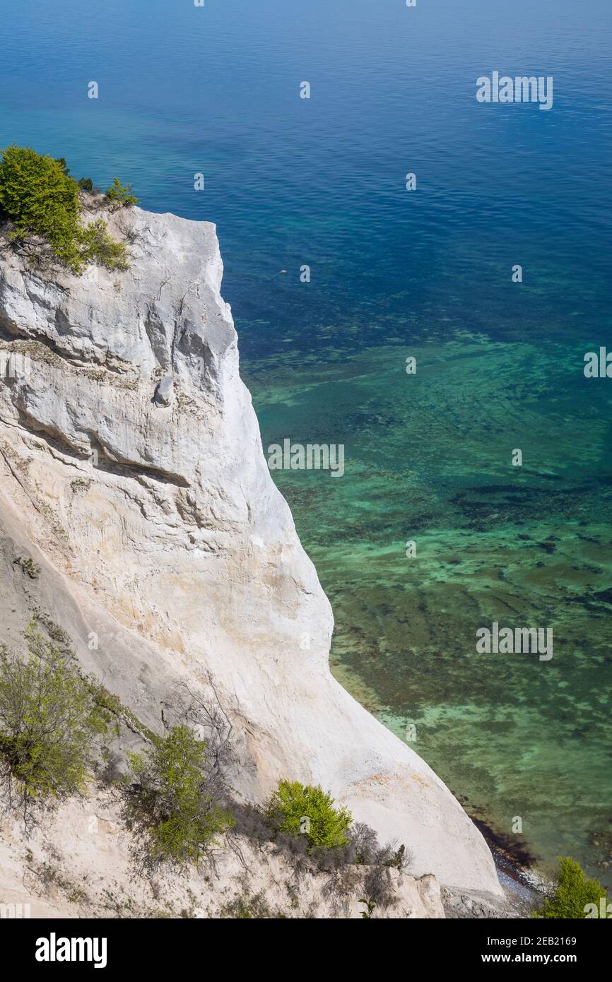 Moens klint chalk cliffs in Denmark Stock Photo