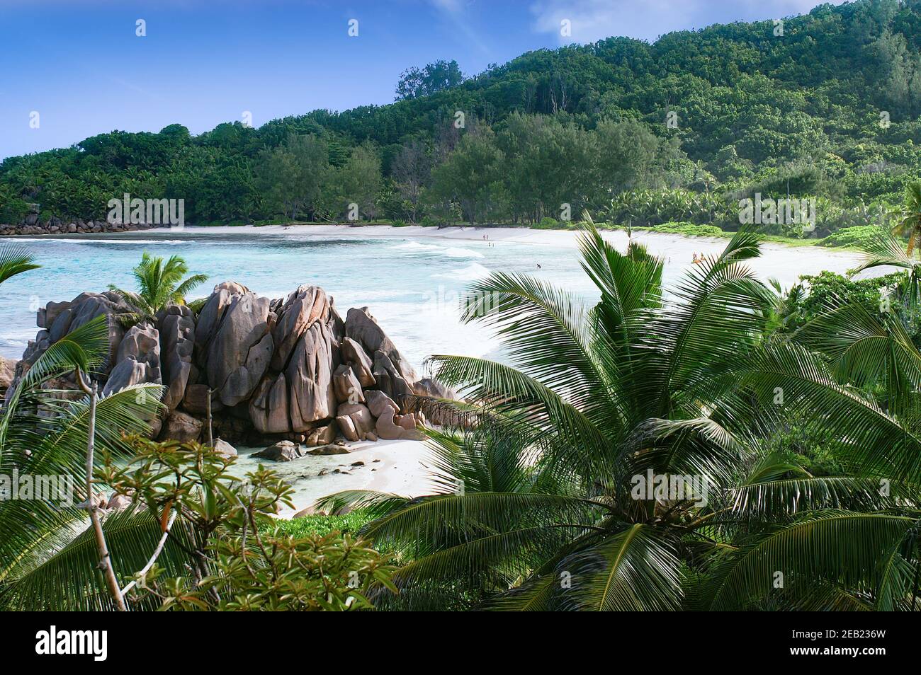 Deserted beach on the island of La Digue in the Seychelles with palm trees and granite rocks Stock Photo