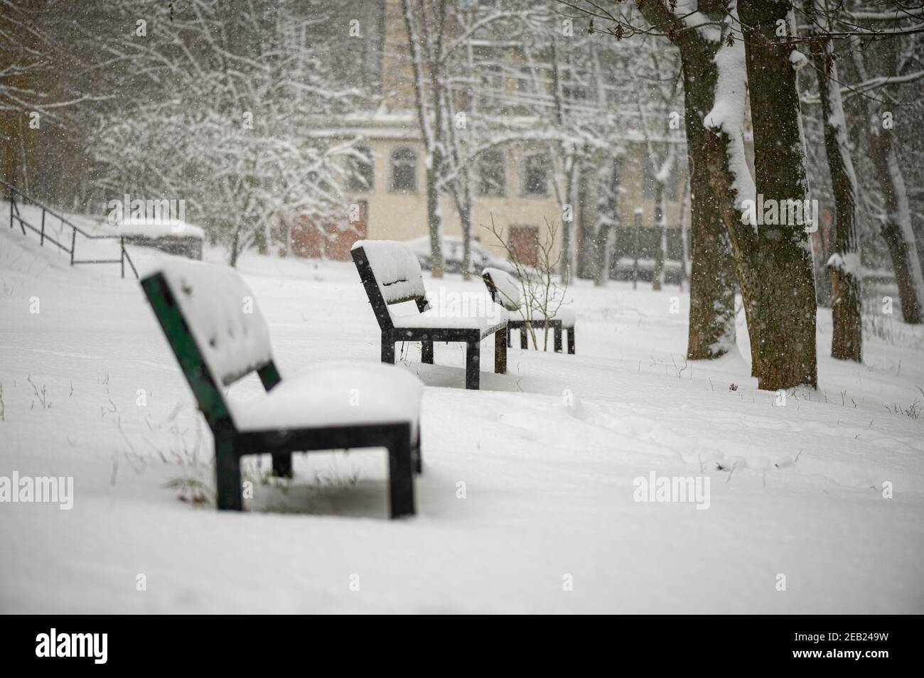 Snow covered benches in residential area park Stock Photo