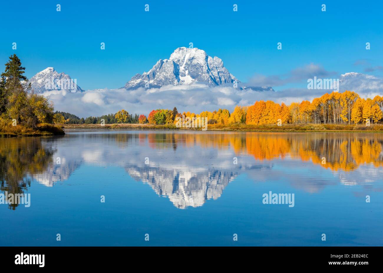 Grand Teton National Park, WY:  Mount Moran wrapped in low clouds reflecting with fall colored aspens on the Oxbow of the Snake River Stock Photo