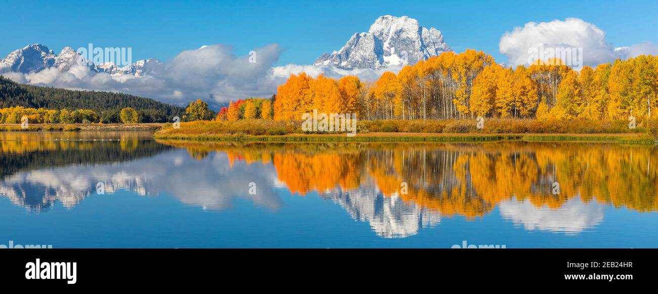Grand Teton National Park, WY:  Mount Moran wrapped in low clouds reflecting with fall colored aspens on the Oxbow of the Snake River Stock Photo