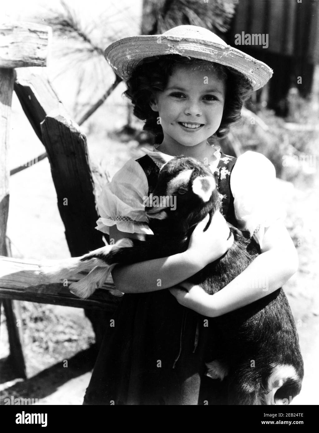 1937 , USA : The child actress SHIRLEY TEMPLE ( 1928 -  2014 ) in HEIDI by Allan Dwan , Fox movie pubblicity still   - MOVIE - FILM - CINEMA - portrait - ritratto  - boccoli - riccioli - curls   - bambino prodigio  -  celebrity celebrities actors actor actress personality personalities with animal animals - celebrità attori attrici personalità con animali - capra - capretta - capretto - goat - kid - fattoria - farm  ----  Archivio GBB Stock Photo