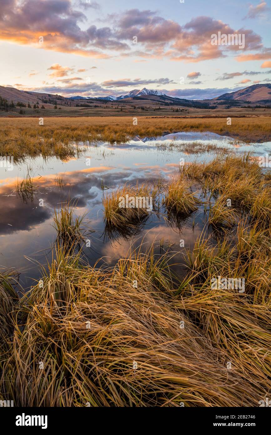 Yellowstone National Park, WY: Sunset light on still waters and grasses of Swan Lake Flats with Electric Peak in the distance Stock Photo