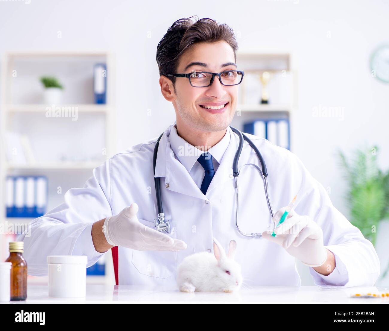 The vet doctor examining rabbit in pet hospital Stock Photo - Alamy