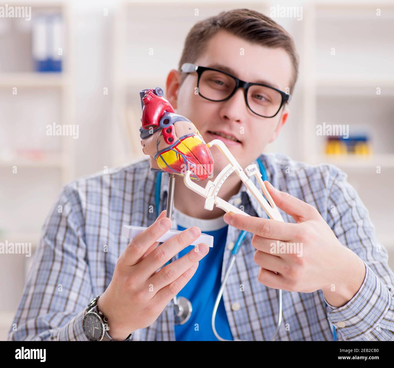 The medical student studying heart in classroom during lecture Stock ...