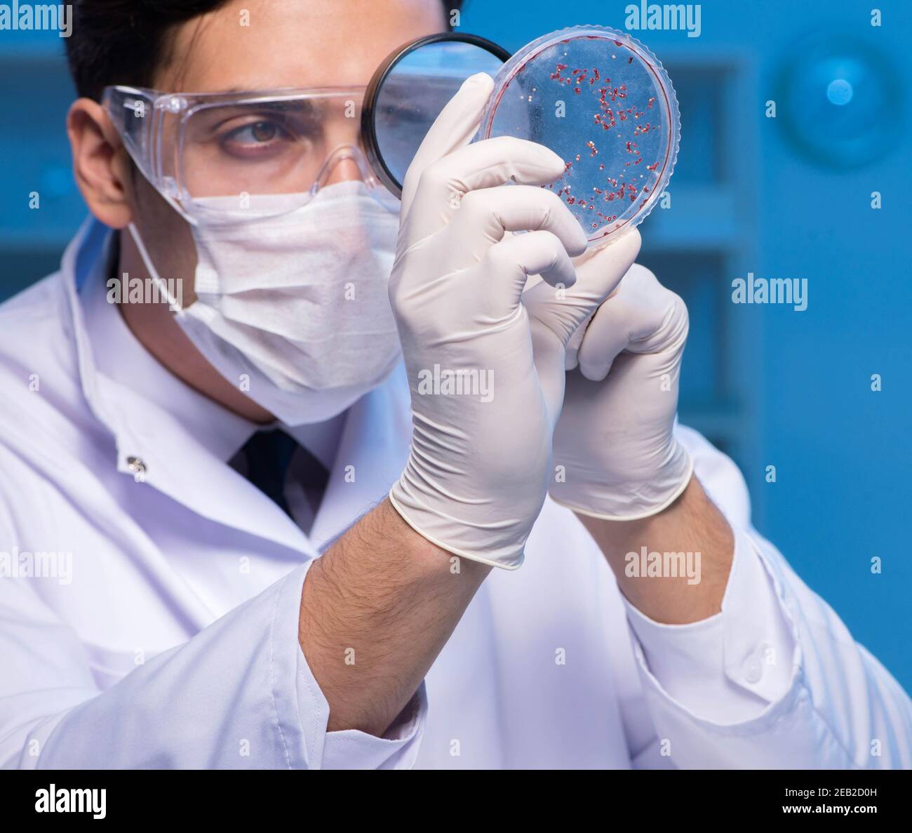 The chemistry assistant working in the chemical lab Stock Photo - Alamy