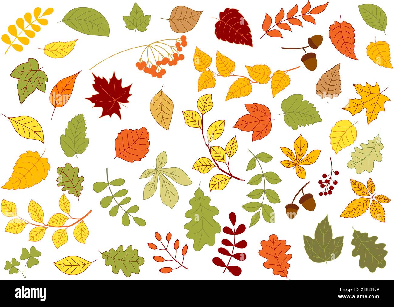 Maple, oak, birch, linden and herbs leaves set in red, yellow and orange autumn colors Stock Vector