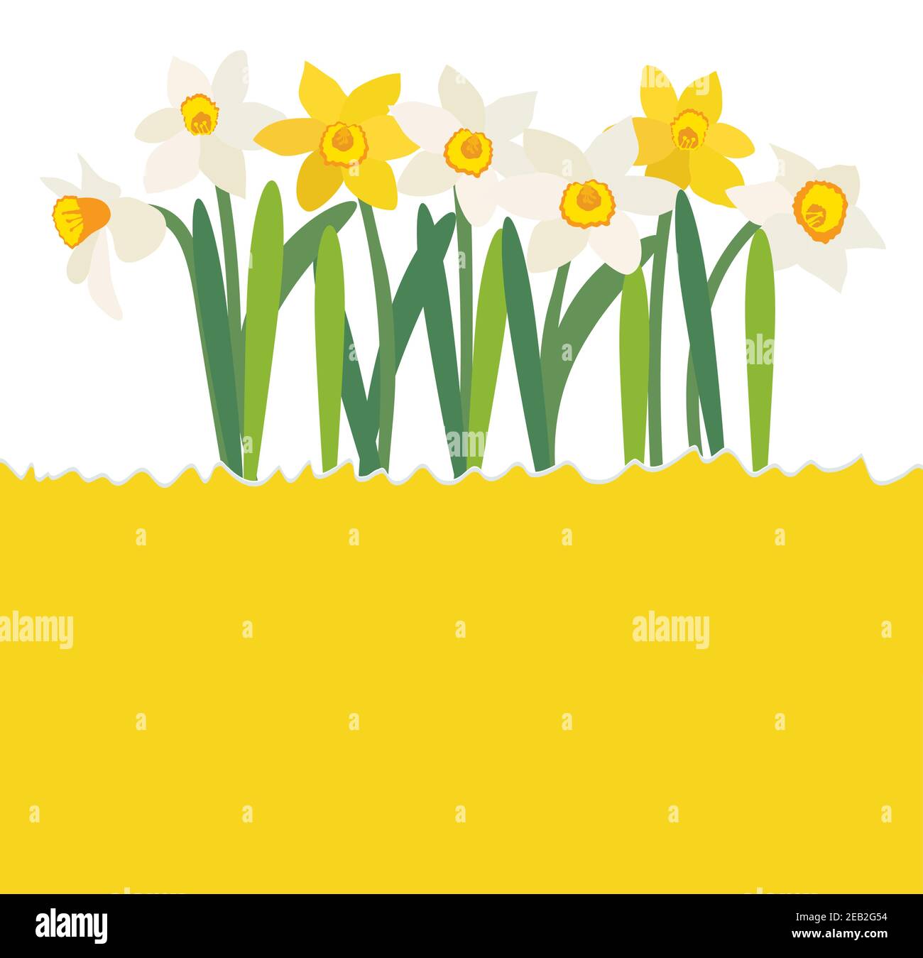 Natural background with daffodil flower and copy space. Vector Illustration EPS10 Stock Vector