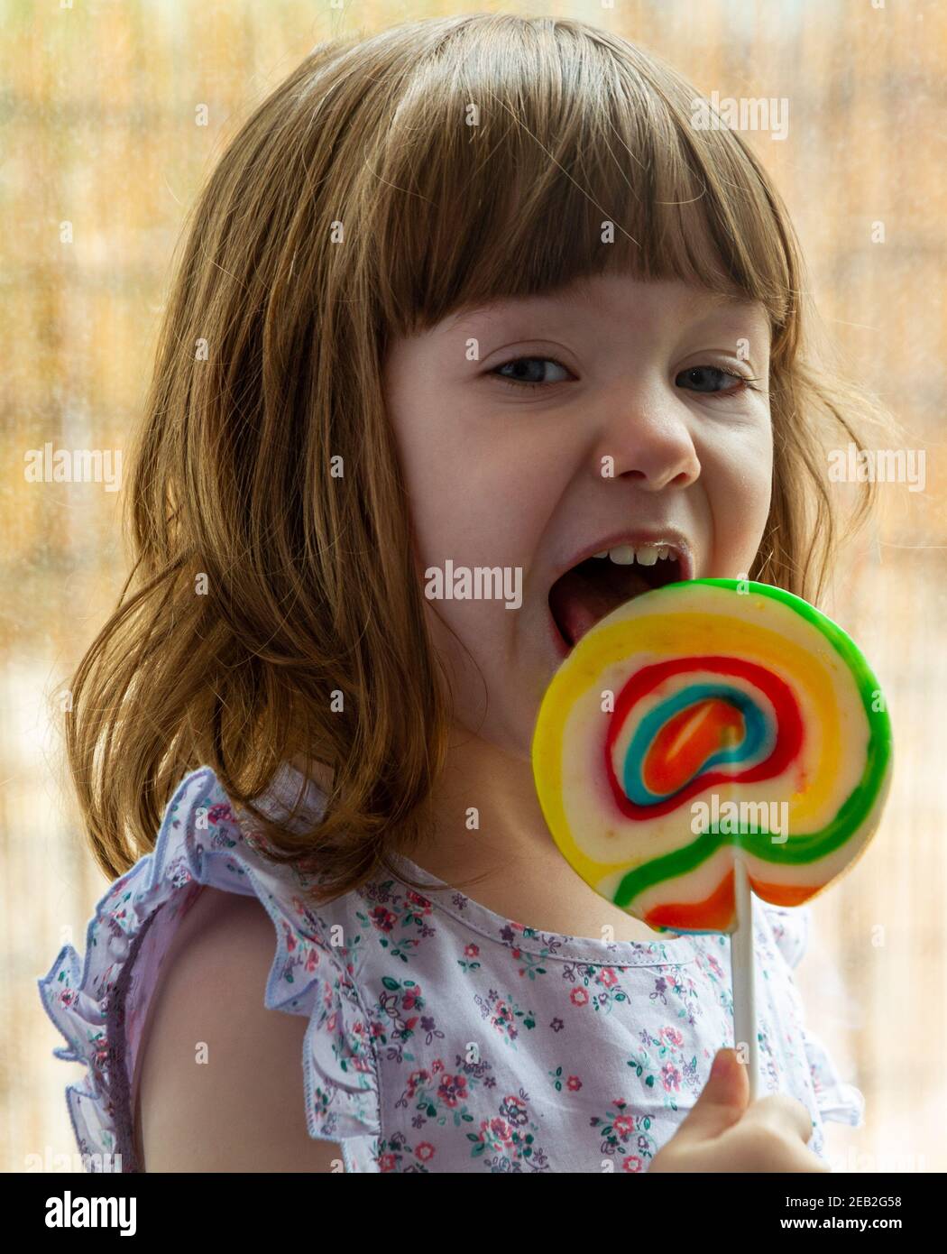 Portrait of a cute, brown-haired, blue-eyed girl licking a colourful lollipop by a window Stock Photo