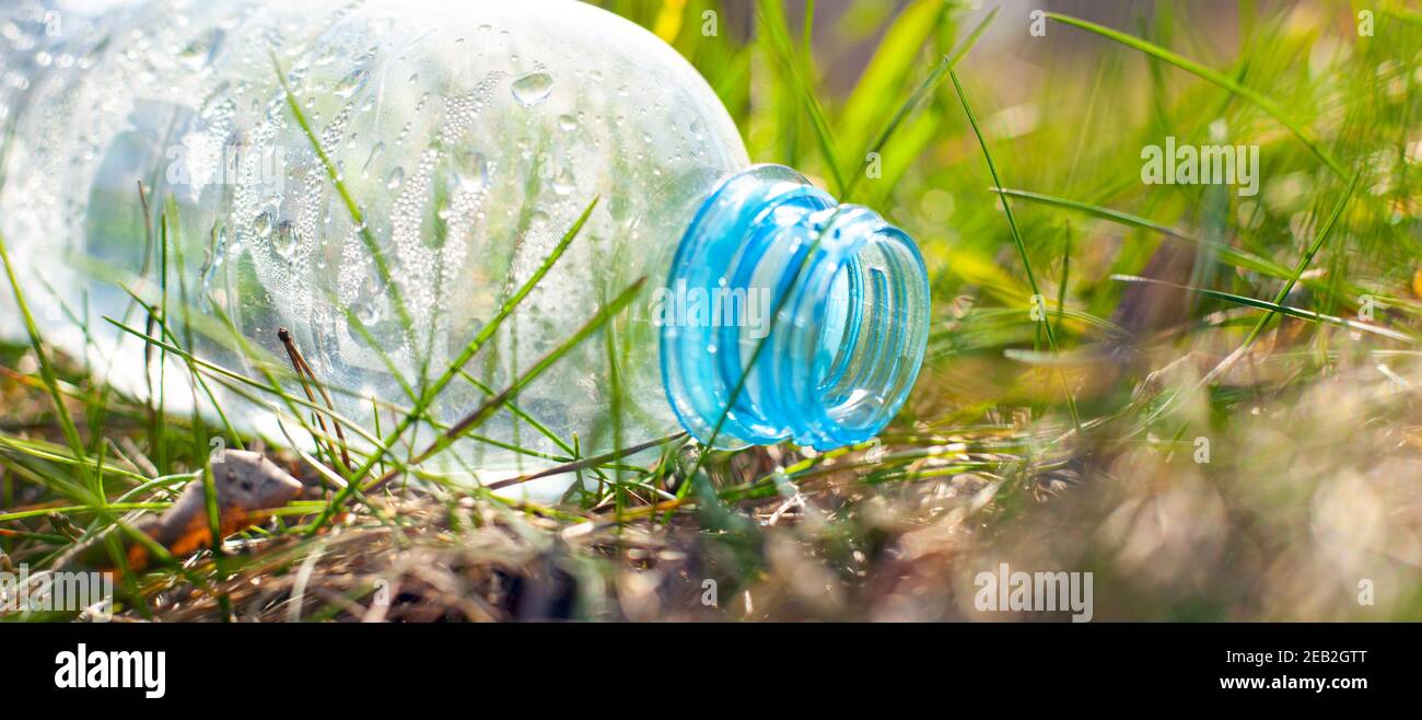 plastic bottle on green grass, nature pollution concept Stock Photo