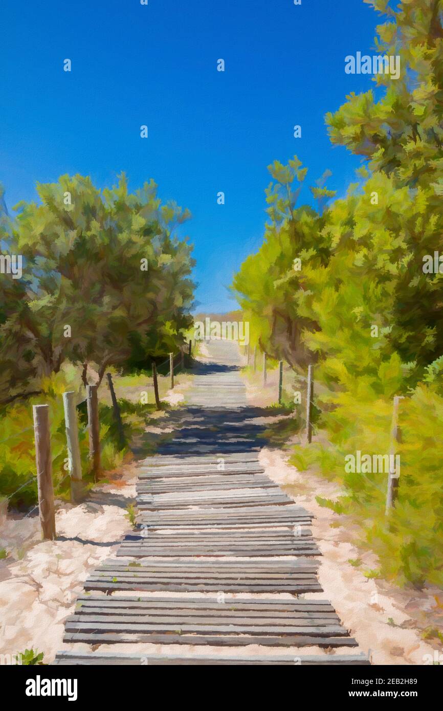 Digital painting of the wooden walkway to Zenith Beach, NSW, Australia, surrounded by foliage. Stock Photo