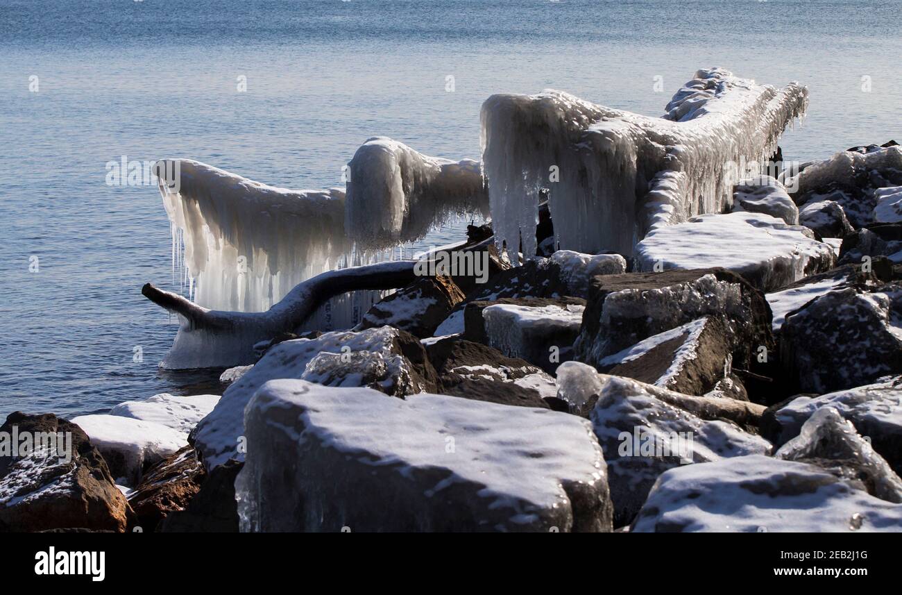 Toronto, Canada. 11th Feb, 2021. Ice-covered tree trunks are seen near Lake Ontario in Toronto, Canada, Feb. 11, 2021. The City of Toronto issued an extreme cold weather alert on Thursday with the temperature expected to drop over the next 24 hours. Credit: Zou Zheng/Xinhua/Alamy Live News Stock Photo