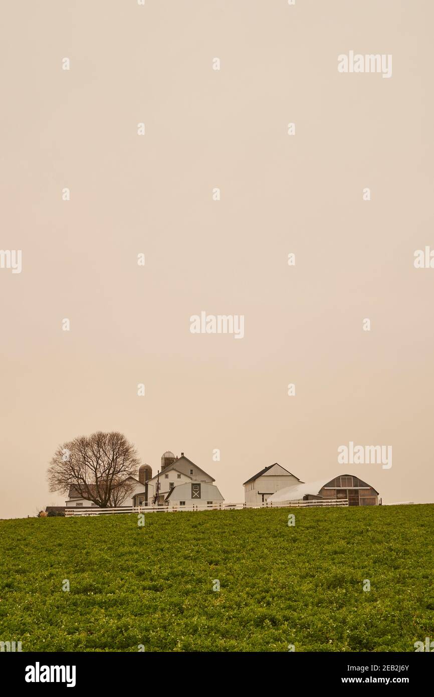 Empty fields after harvest hi-res stock photography and images - Alamy