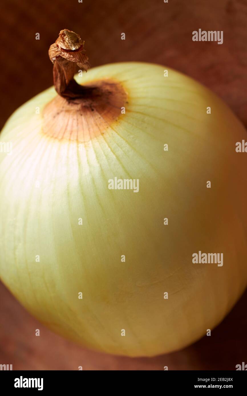 A whole, peeled yellow onion, sometimes called a Spanish onion Stock Photo