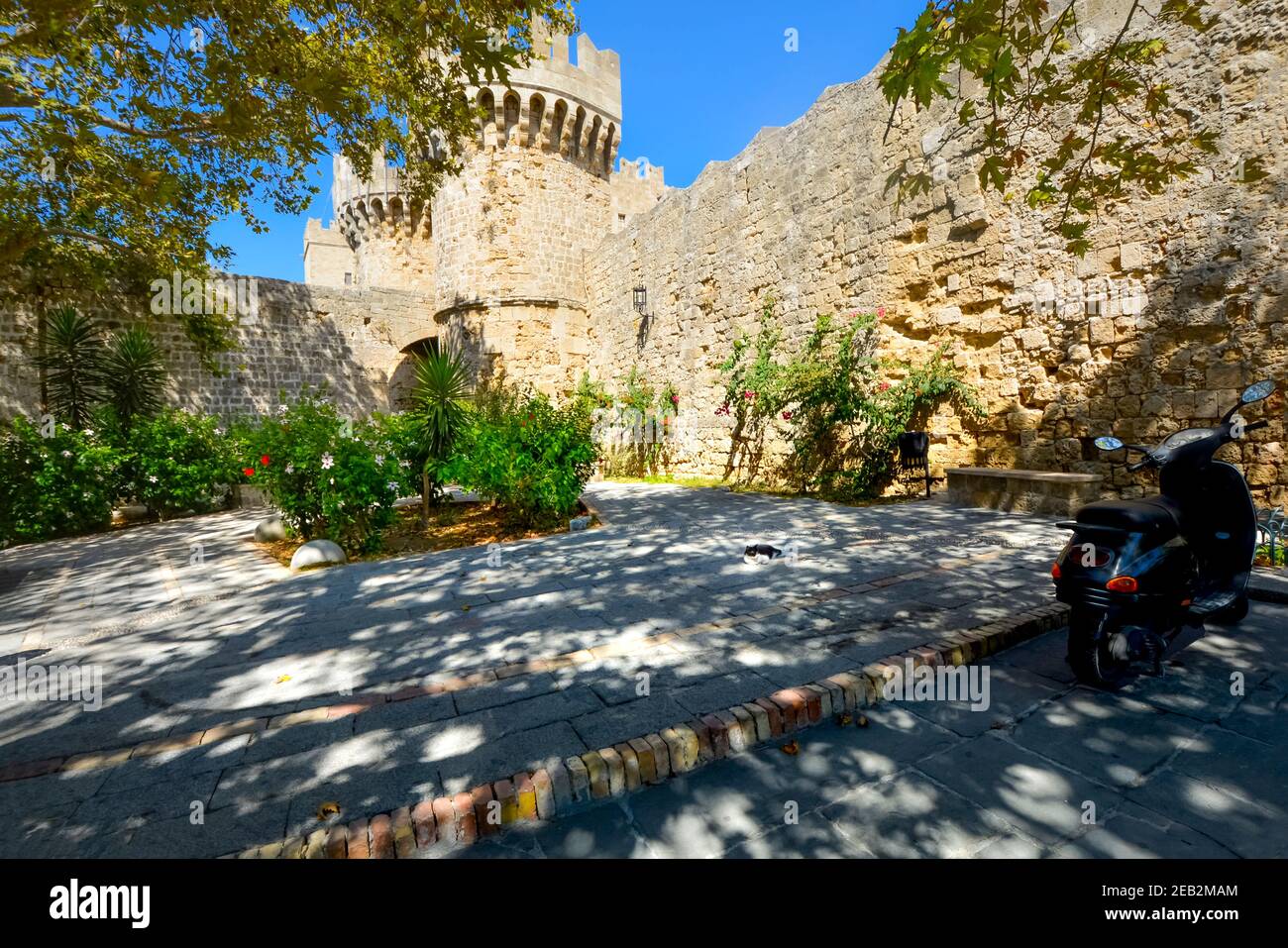 A black and white stray Greek cat relaxes in the shade with the ancient castle of Rhodes Greece in the background. Stock Photo