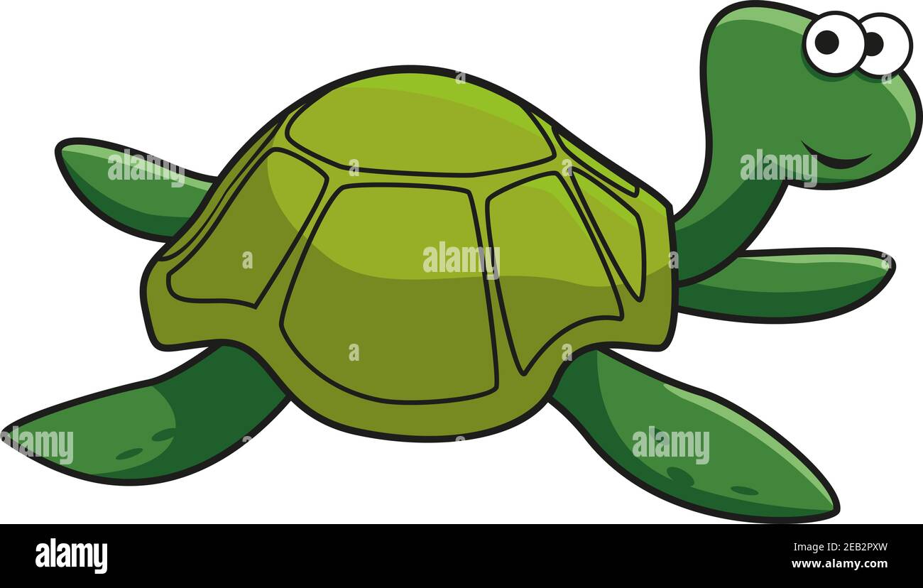 Cartoon green turtle character with smiling face and googly eyes isolated  on white background Stock Vector Image & Art - Alamy