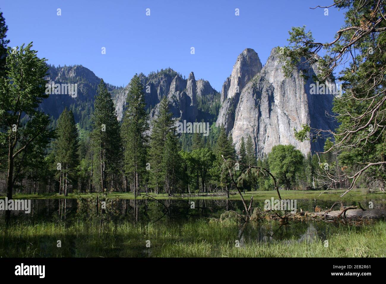 Meadow View Yosemite National Park, California, USA Stock Photo