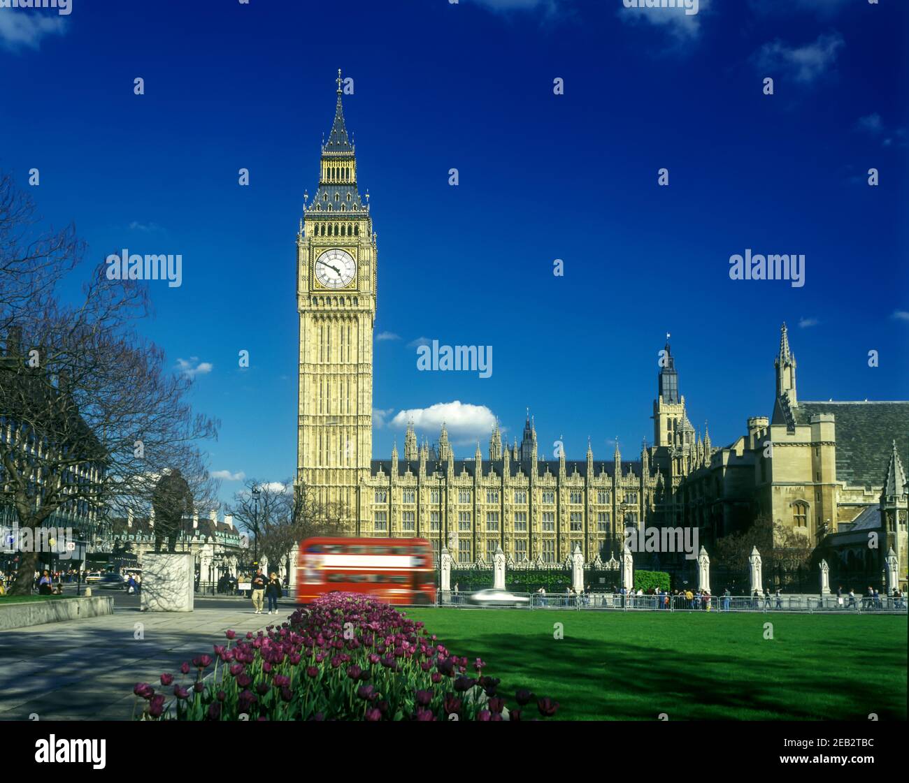 My Image 30