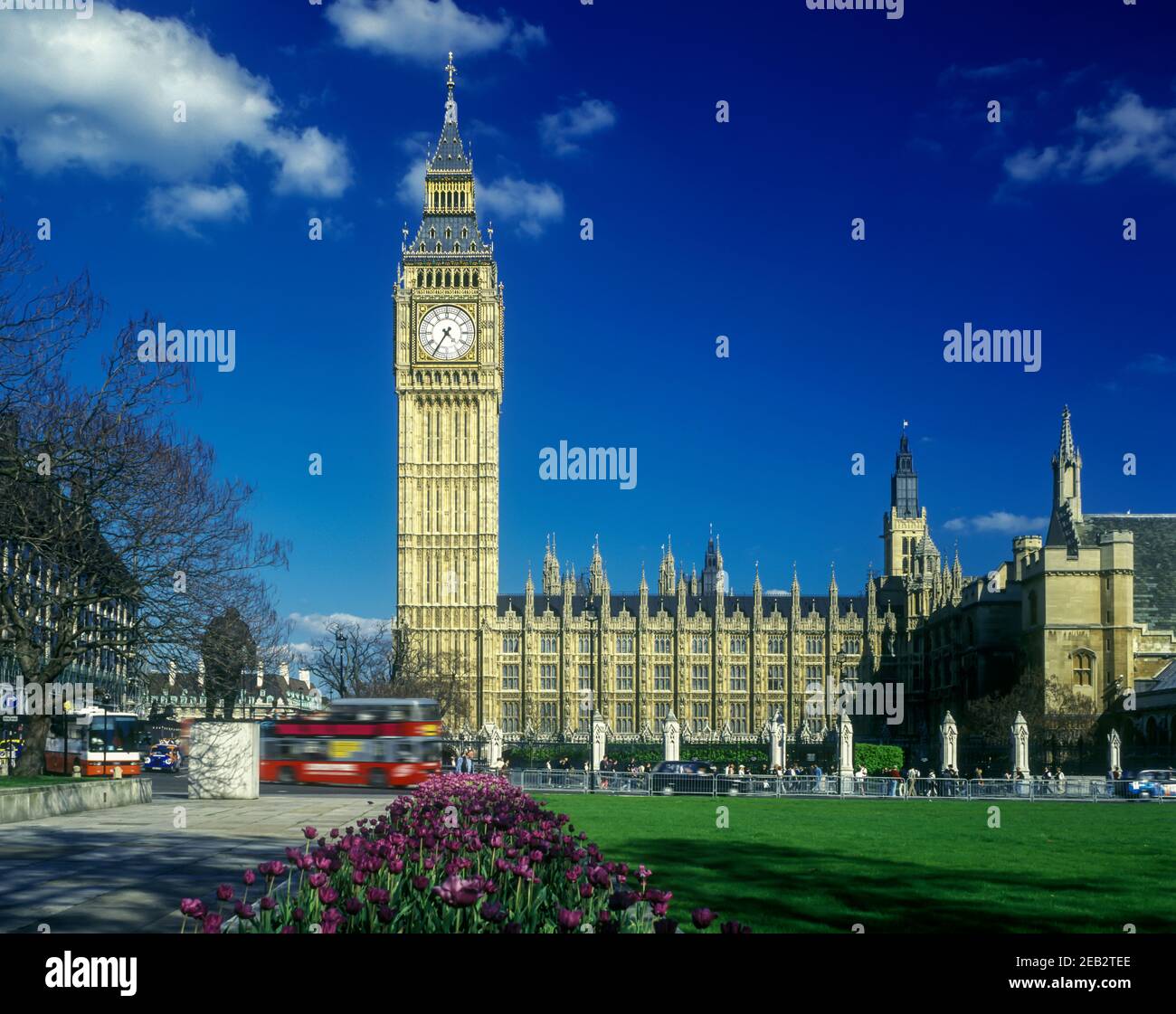 My Image 21