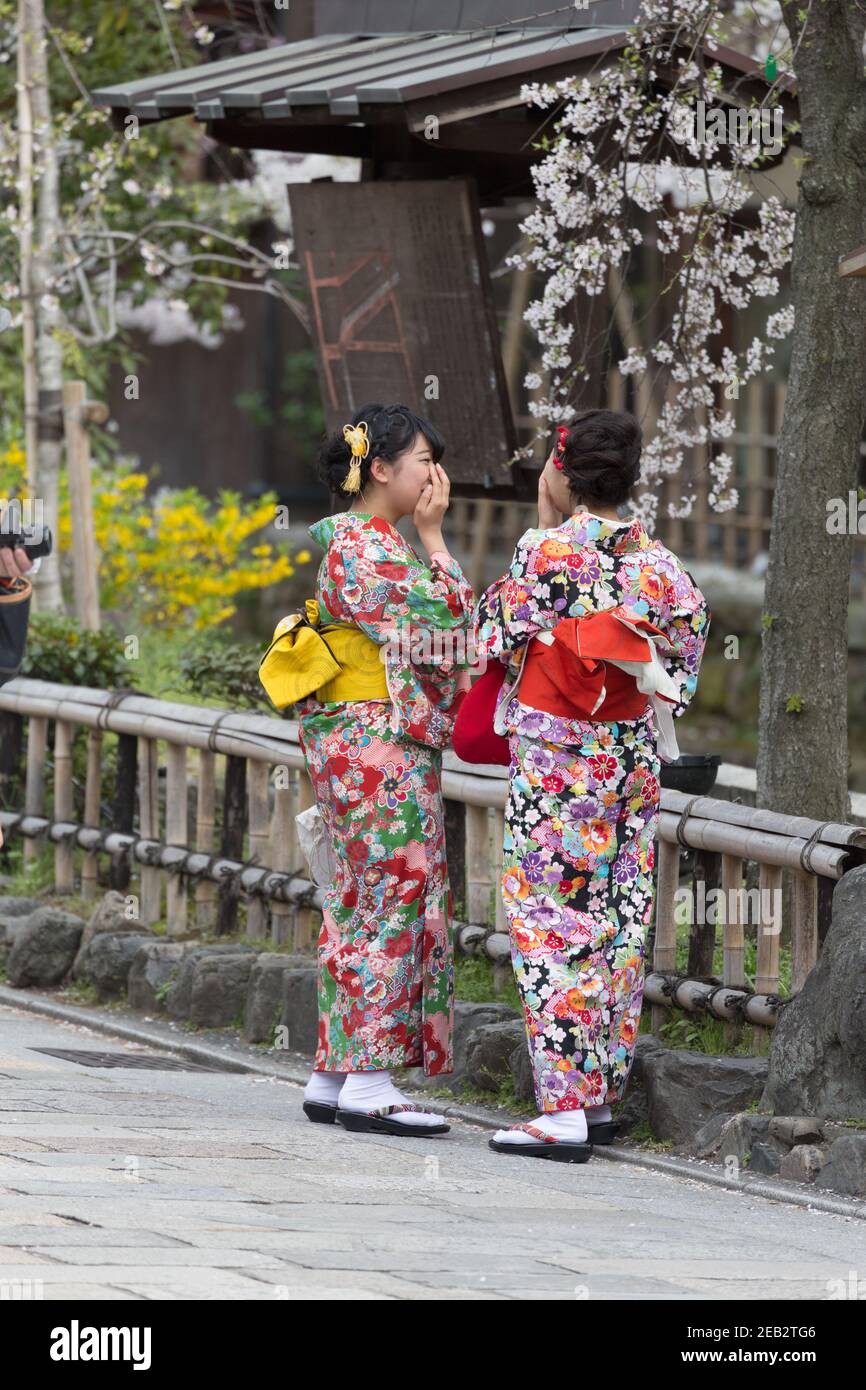 Kyoto Japan Two women in colorful traditional Kimono walking on Shirakawa Dori Street underneath cherry blossoms (Sakura). Stock Photo