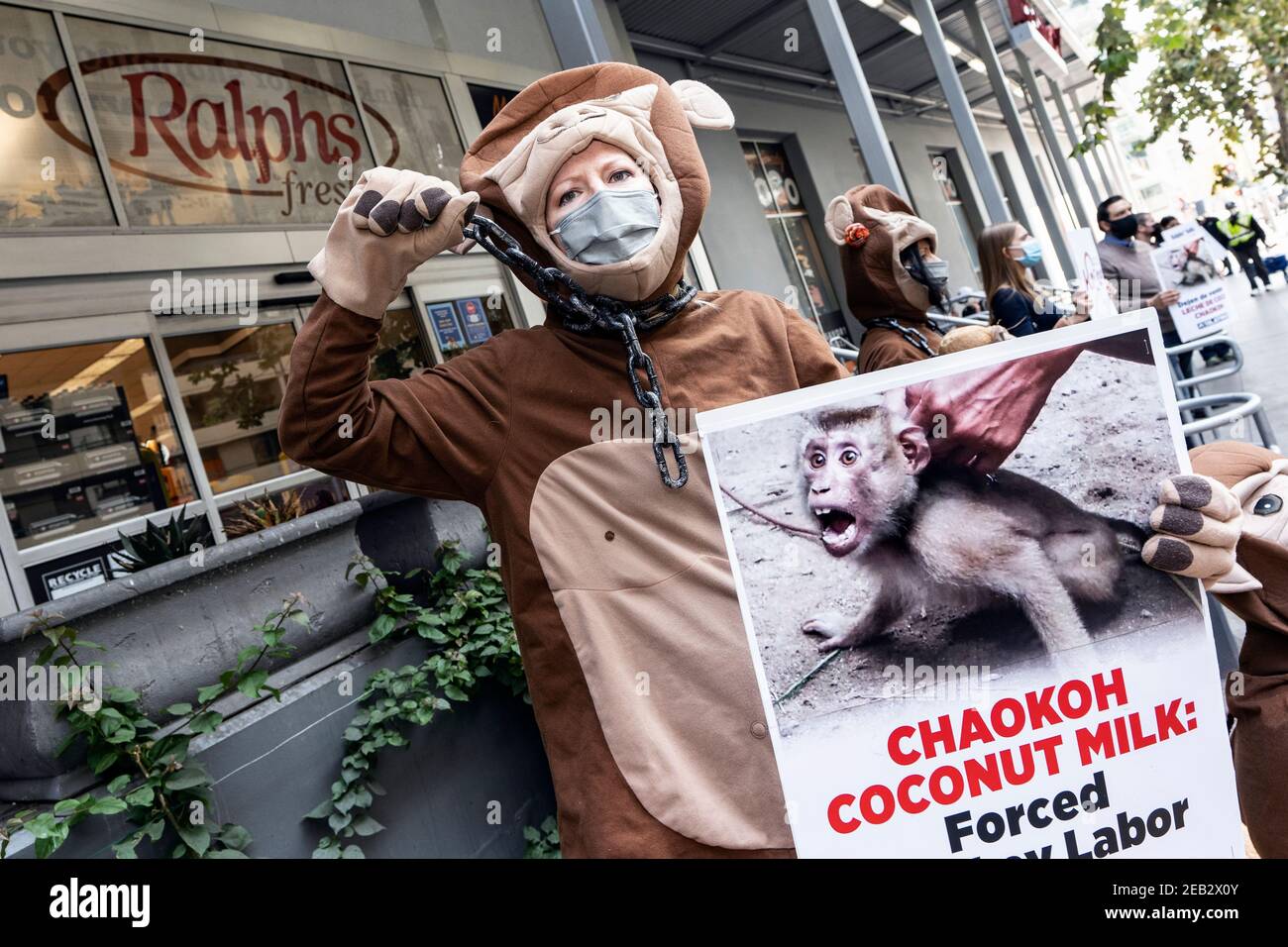 Los Angeles, United States. 11th Feb, 2021. PETA activists dressed in monkey costumes hold placards during a protest against Thailand's Chaokoh brand for allegedly forcing monkeys to climb up trees to collect coconuts and keeping them in cruel conditions. Major U.S. retailers such as Costco and Target stopped selling Chaokoh coconut milk over allegations of forced monkey labor. Credit: SOPA Images Limited/Alamy Live News Stock Photo