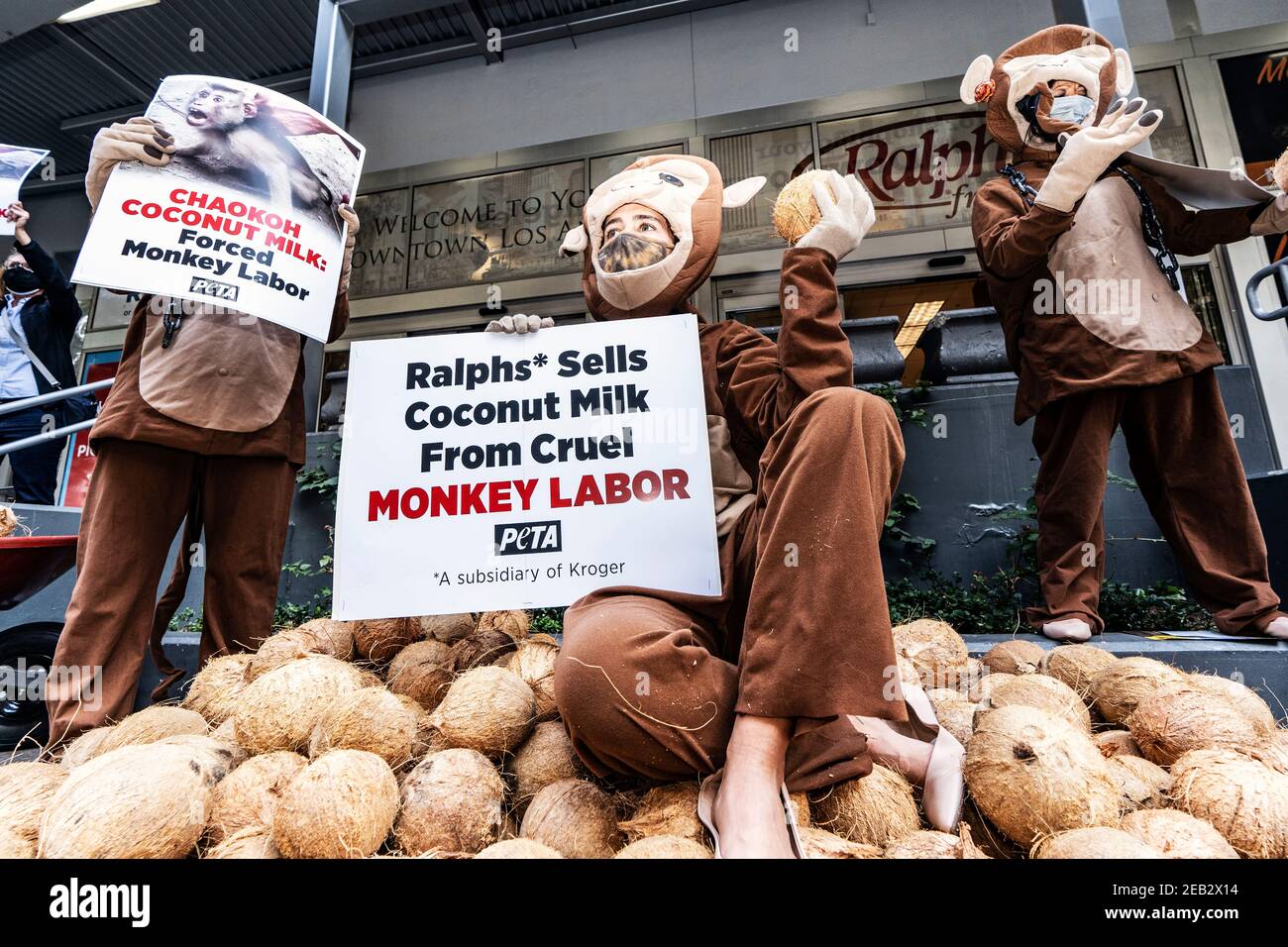 Los Angeles, United States. 11th Feb, 2021. PETA activists dressed in monkey costumes hold placards and coconuts during a protest against Thailand's Chaokoh brand for allegedly forcing monkeys to climb up trees to collect coconuts and keeping them in cruel conditions. Major U.S. retailers such as Costco and Target stopped selling Chaokoh coconut milk over allegations of forced monkey labor. Credit: SOPA Images Limited/Alamy Live News Stock Photo