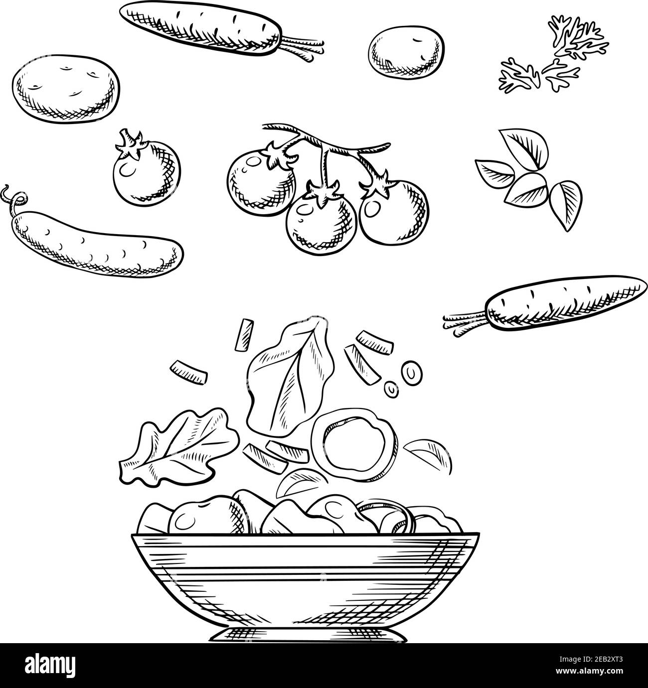 Cooking vegetarian salad sketch with fresh cherry tomatoes, carrots, cucumber, potatoes, spicy herbs and wide bowl with sliced ingredients. For recipe Stock Vector