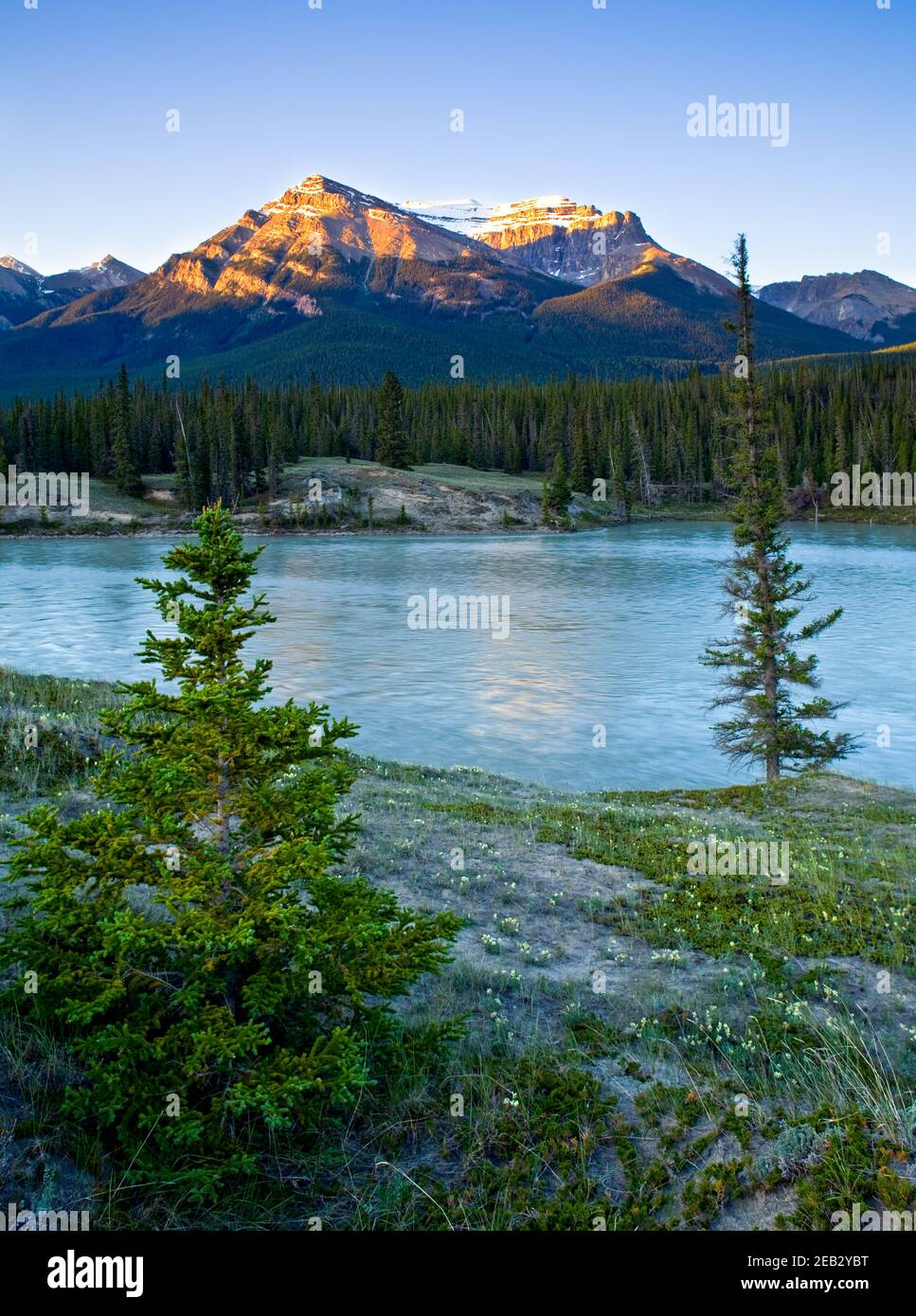 A mountain and river in the Canadian Rockies, Alberta, Canada Stock Photo