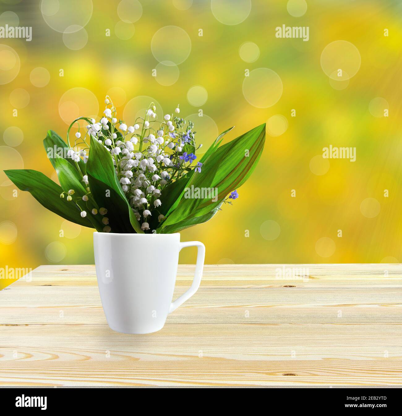 Spring or summer still life with delicate lilies of the valley and forget-me-not flowers in white cup on wooden table. Bouquet of lily of the valley f Stock Photo