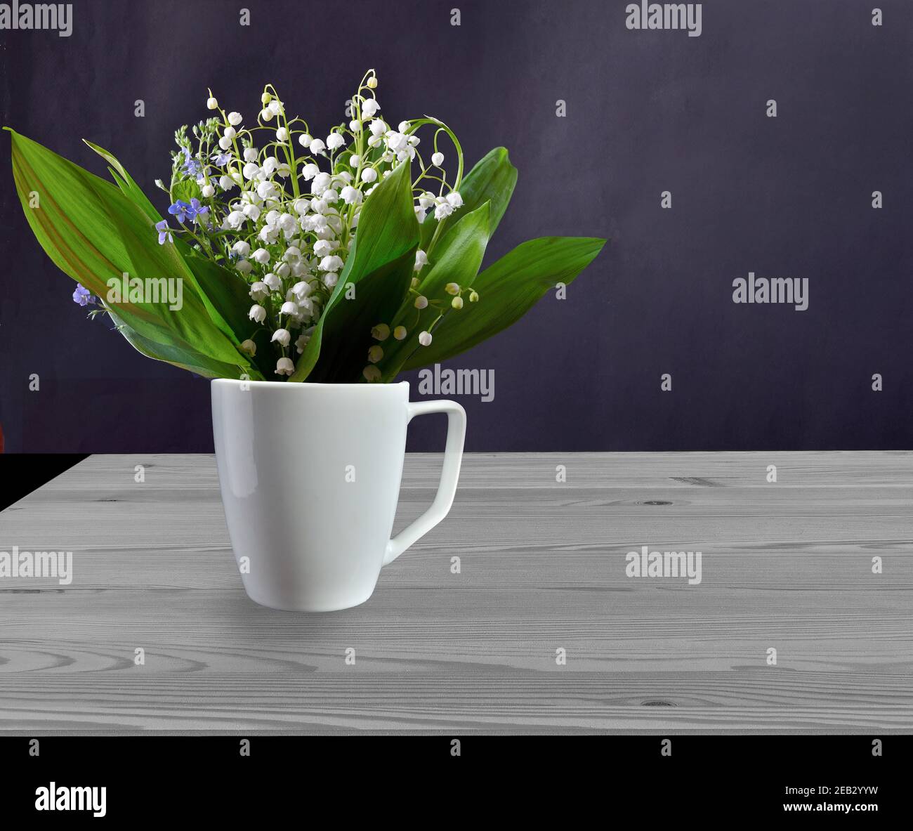 Spring still life with delicate lilies of the valley and forget-me-not flowers in white cup on wooden table. Bouquet of lily of the valley flowers on Stock Photo