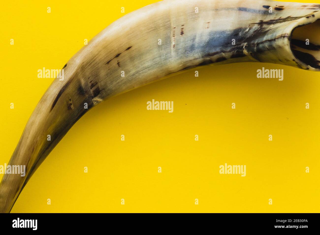 Shofar horn hires stock photography and images Alamy