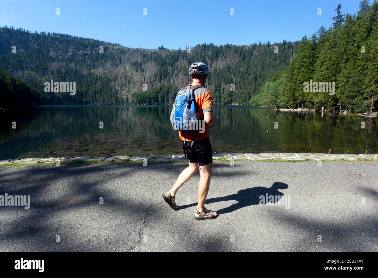 Sumava National Park Czech Republic hiker man on trip natural trail Stock Photo