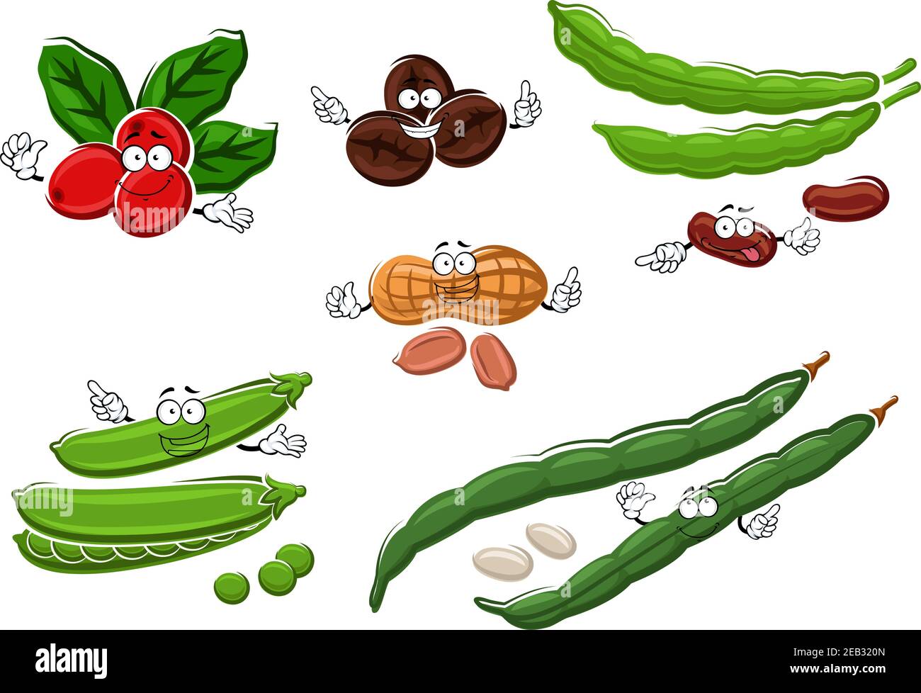 Healthy vegetarian fresh and roasted coffee beans, peanuts, green sweet