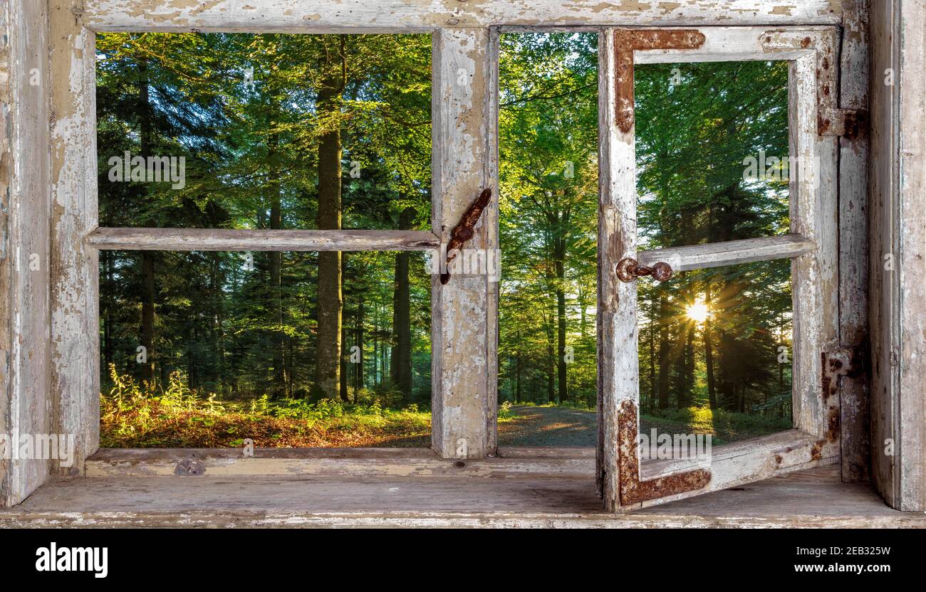 rustic farmhouse parlor with a view from the window Stock Photo