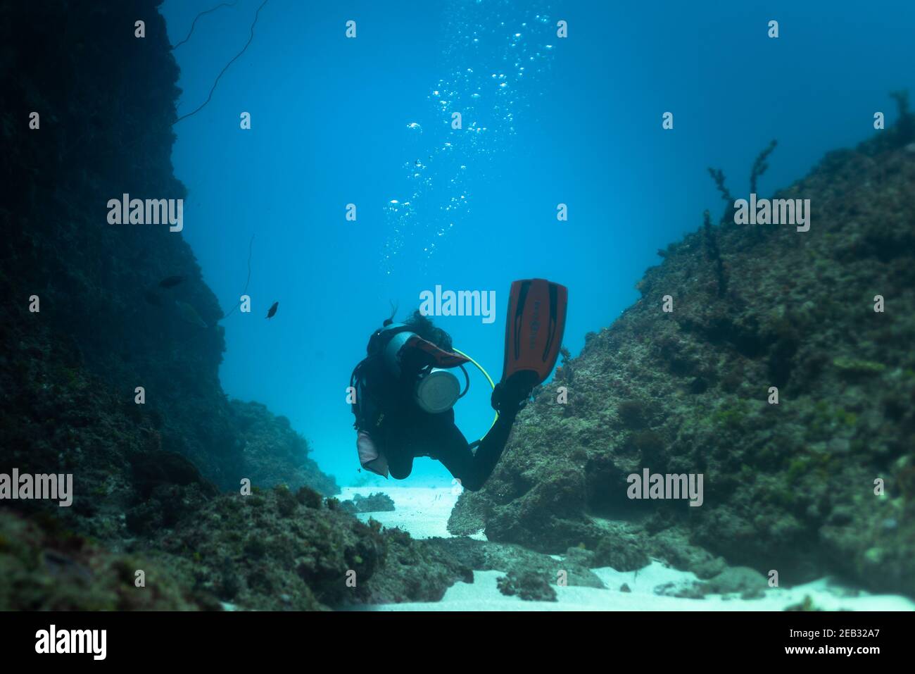 Scuba diving girl in blue ocean open water and blue sky Stock Photo - Alamy