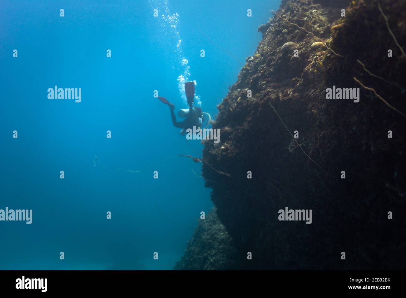 Scuba diving girl in blue ocean open water and blue sky Stock Photo
