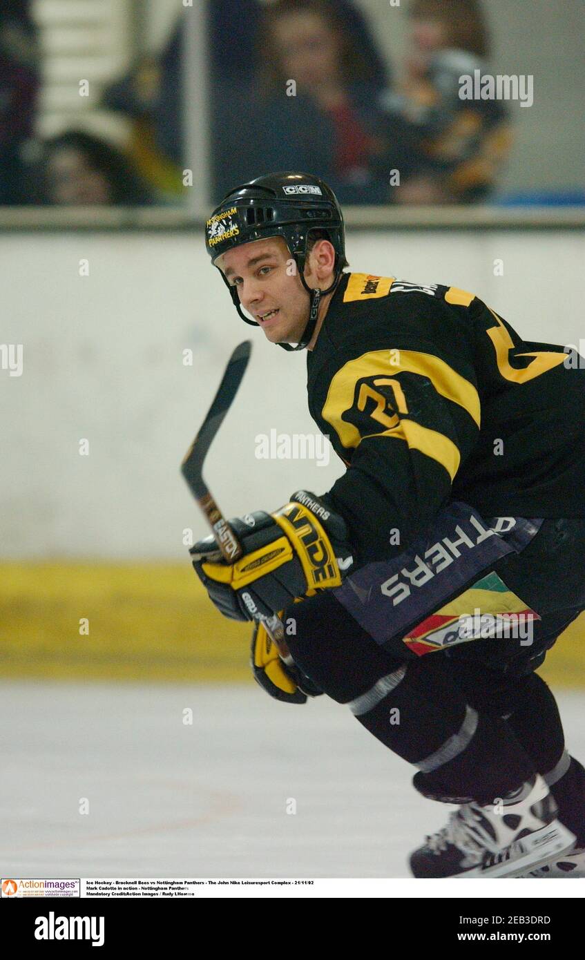 Bracknell bees hires stock photography and images Alamy
