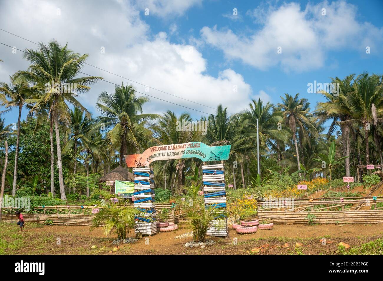 Organic Farm Vegetables Siargao Island Village Stock Photo