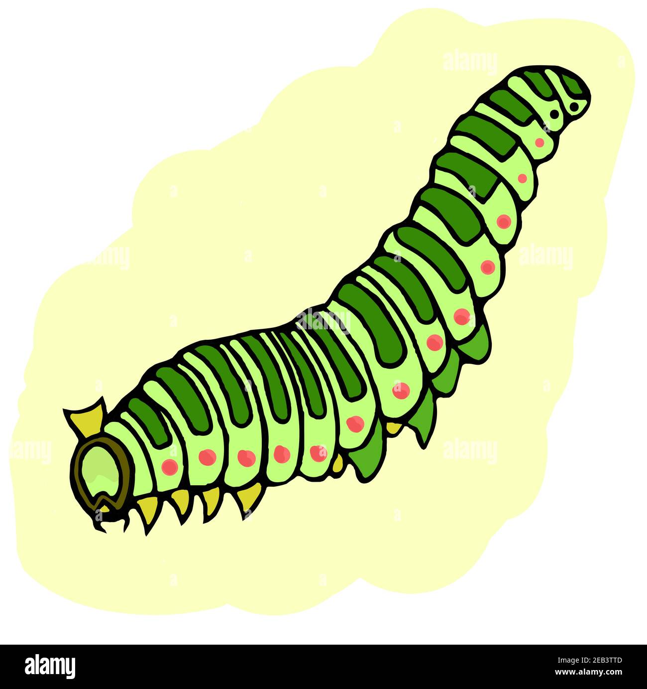 Close up green caterpillar Stock Vector Images - Alamy