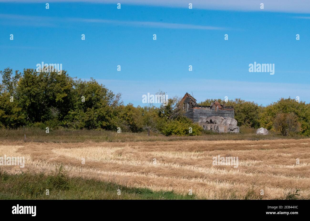 Abandoned homestead, Rural Municipality of Churchbridge, Saskatchewan