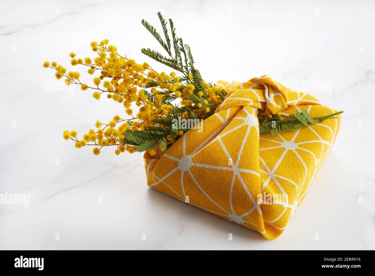 Japanese Mimosa High Resolution Stock Photography And Images Alamy