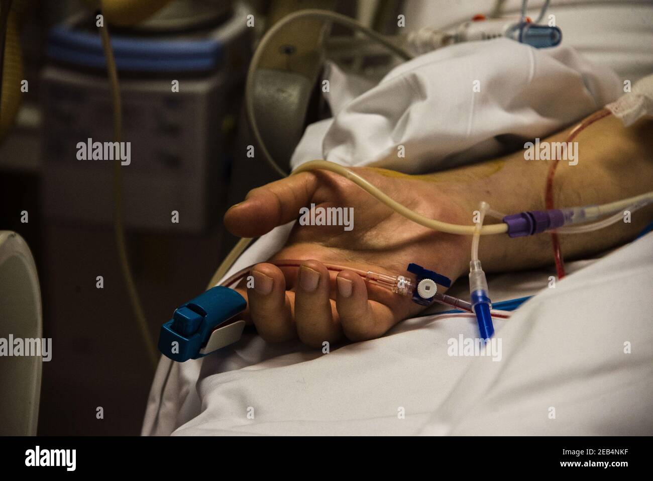 Close up of the hand of a COVID 19 patient wearing a pulse oximeter on their finger to measure blood oxygen saturation Stock Photo