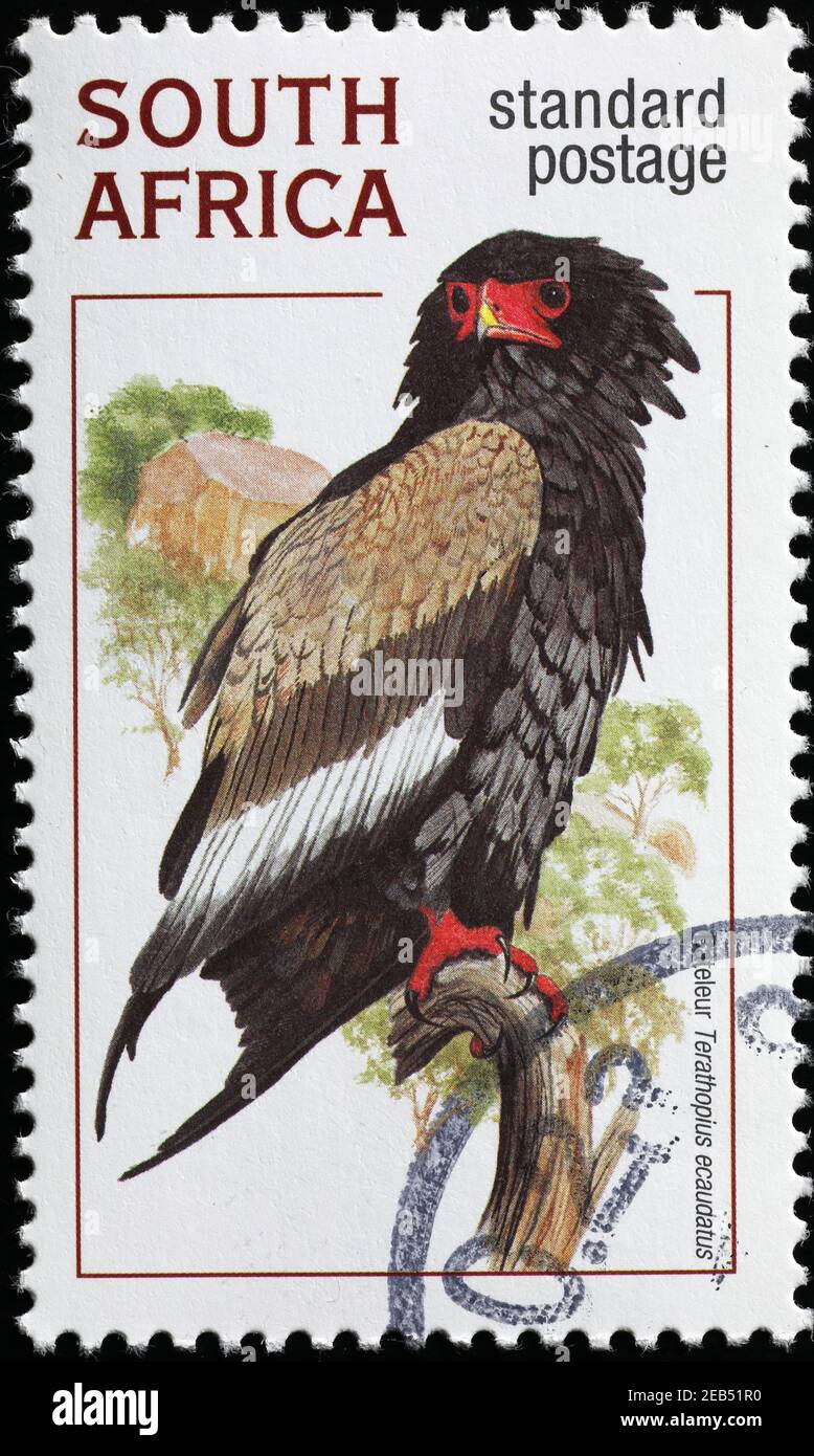 Bateleurr on south african postage stamp Stock Photo