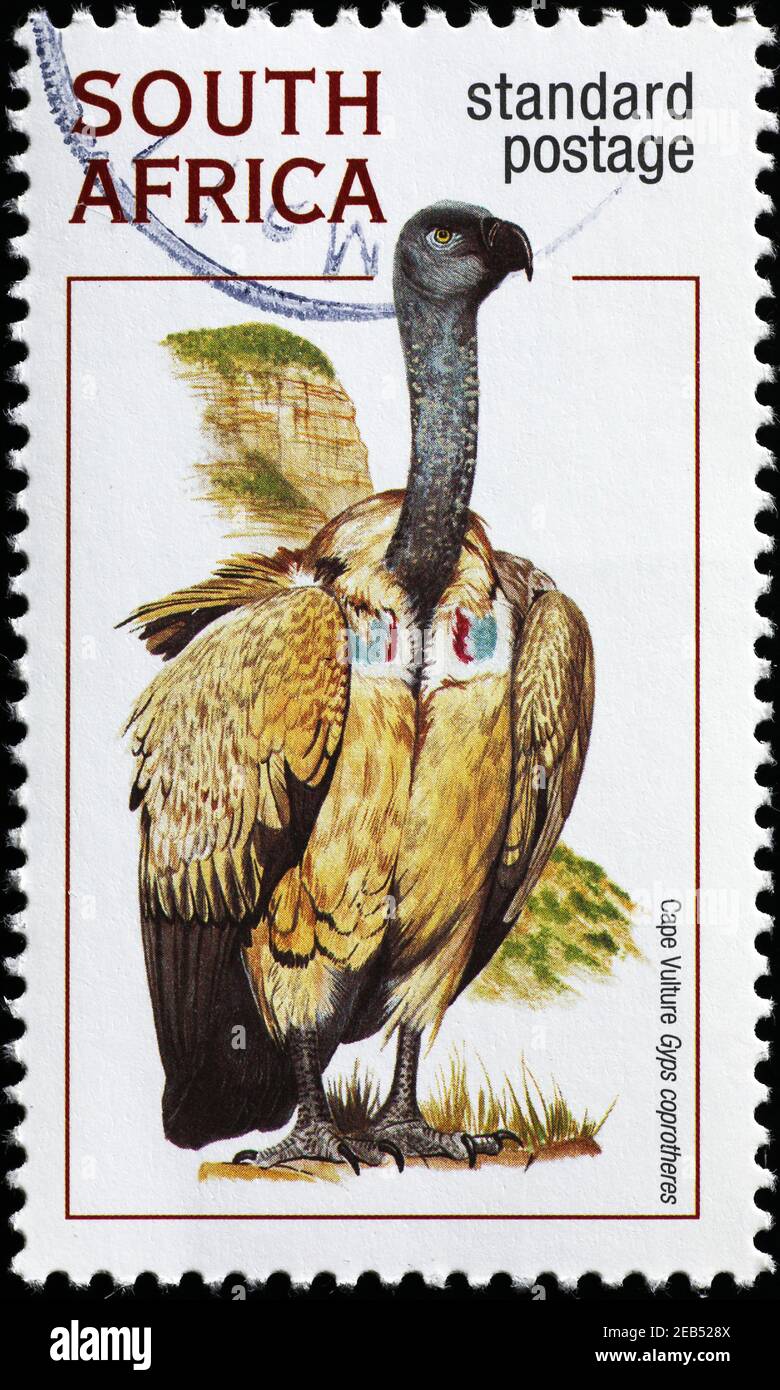 Cape vulture on south african postage stamp Stock Photo Alamy