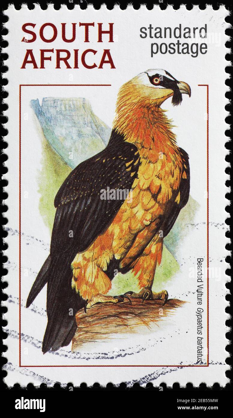 Lammergeier on south african postage stamp Stock Photo