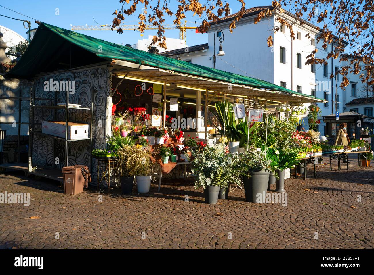 Udine, Italy. February 11, 2020. a flower shop in a square in the city center Stock Photo