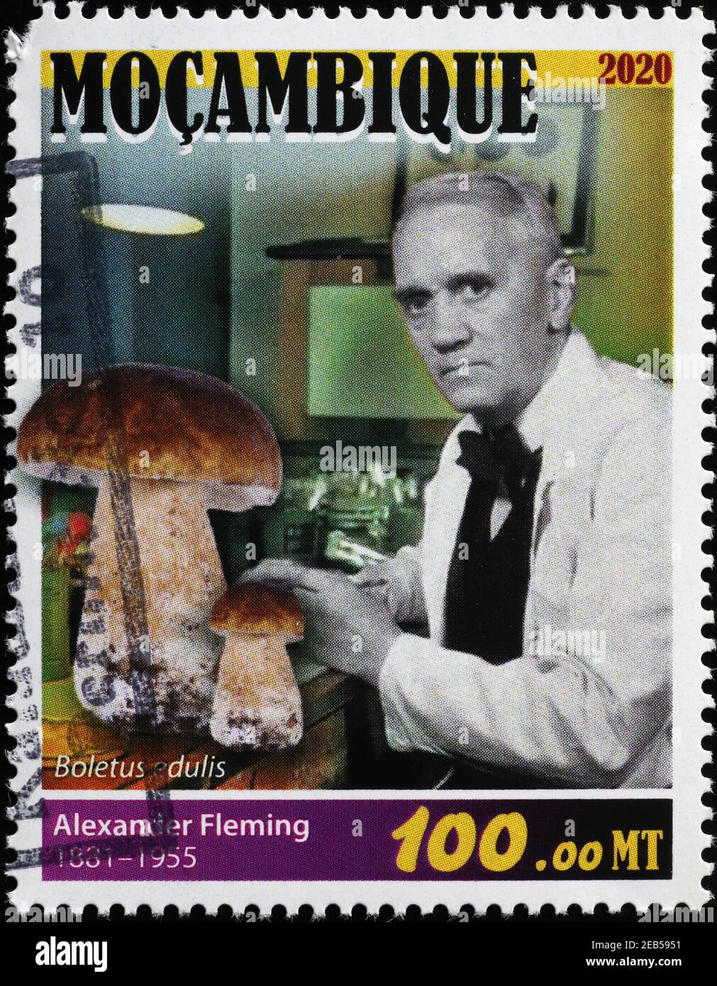 Portrait of Alexander Fleming on stamp of Mozambique Stock Photo