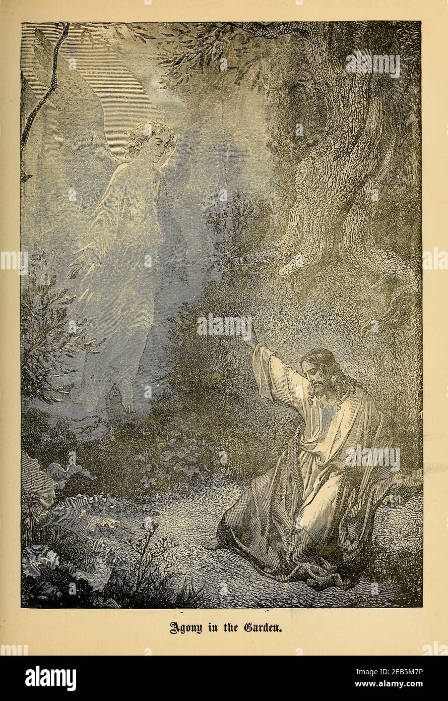 The Agony in the Olive tree Garden of Gethsemane From ' The pictorial ...