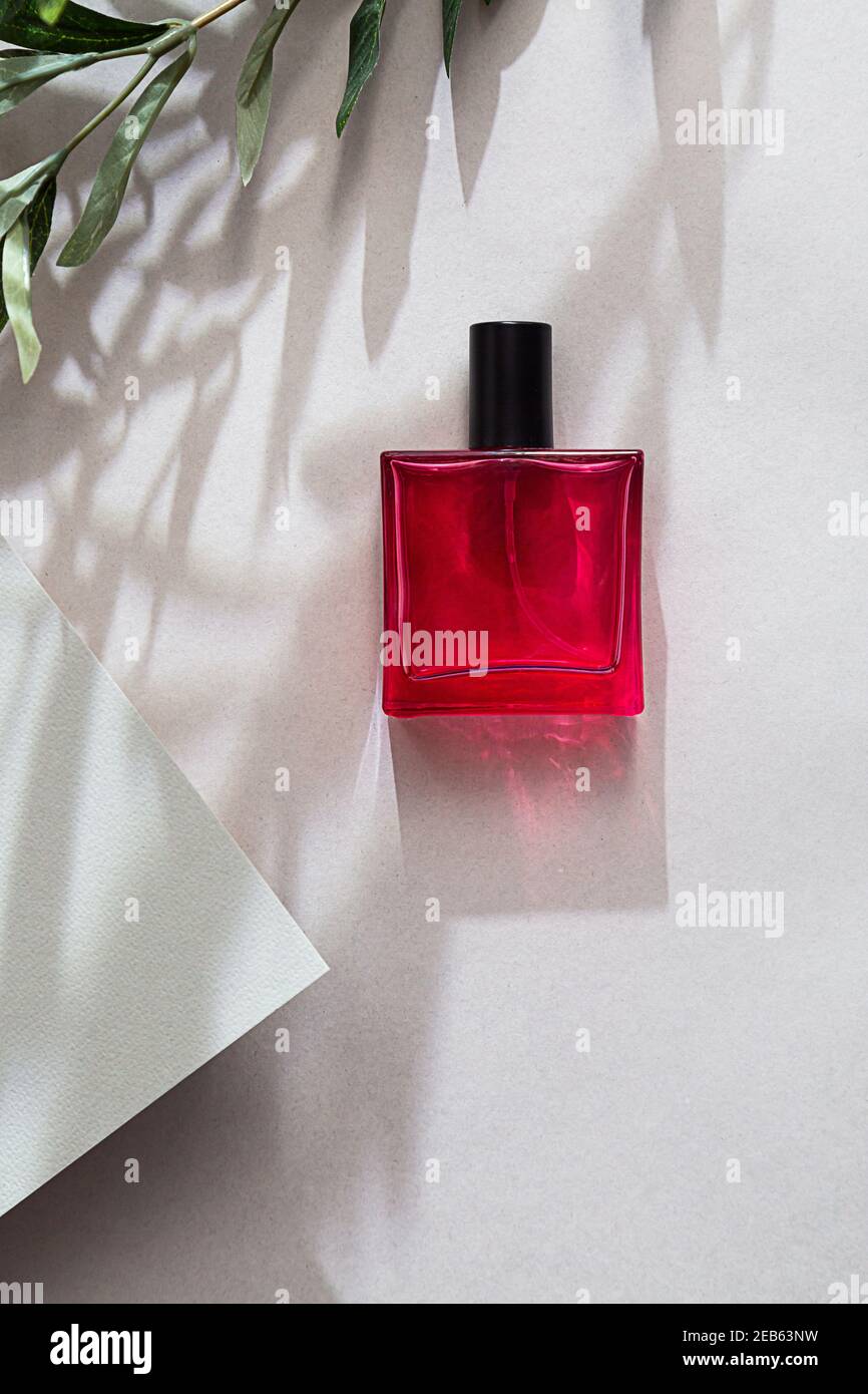Red bottle of perfume. Modern still life with perfume and pink dry branch of barberry on gray background with long shadows Stock Photo