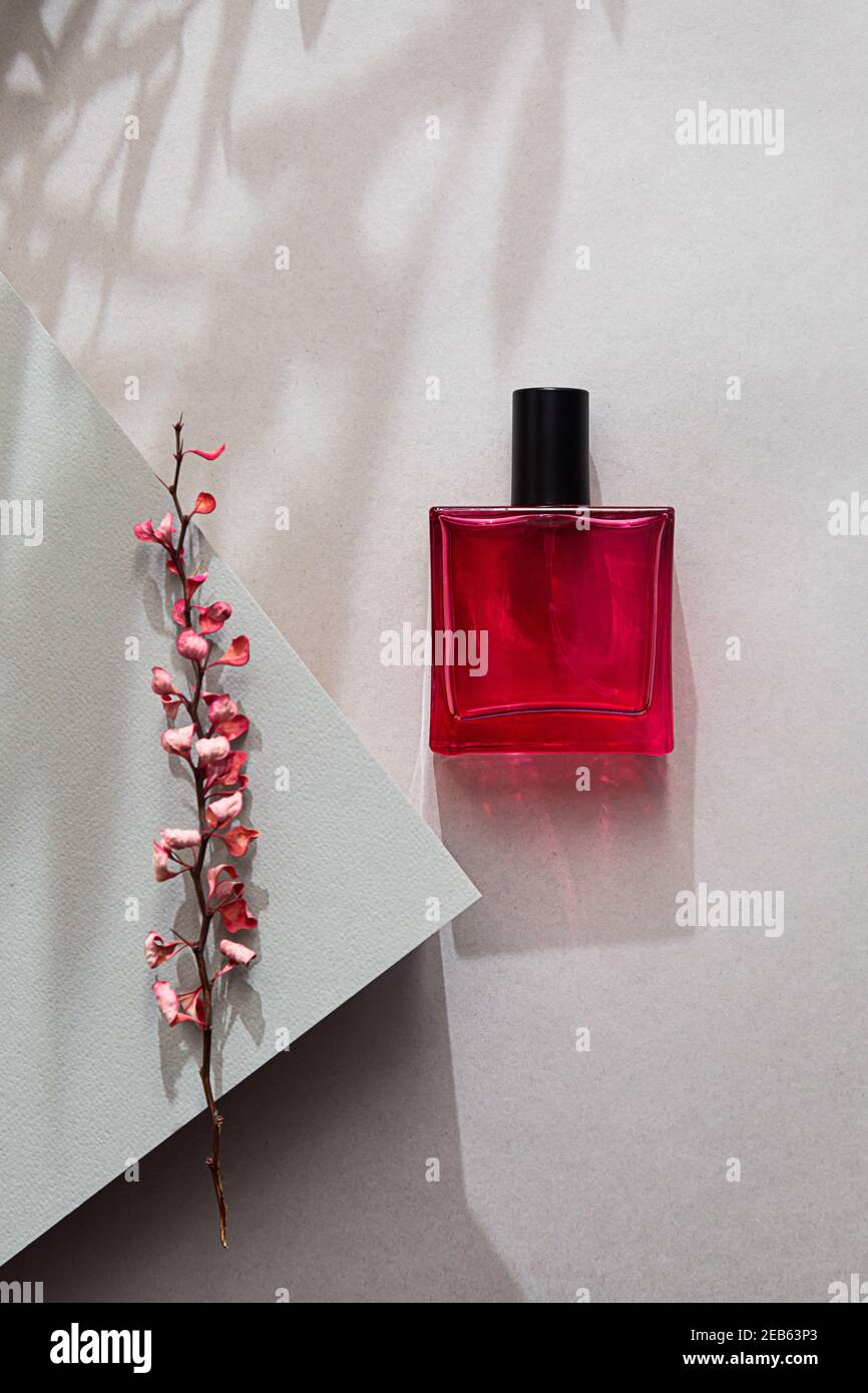 Red bottle of perfume. Modern still life with perfume and pink dry branch of barberry on gray background with long shadows Stock Photo